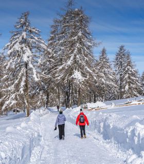 Due persone fanno un'escursione invernale