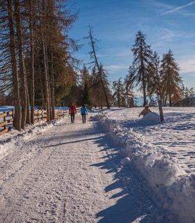 Due persone fanno un'escursione invernale