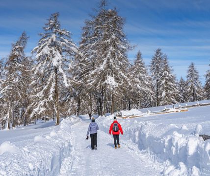 Due persone fanno un'escursione invernale
