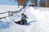 Tobogganing