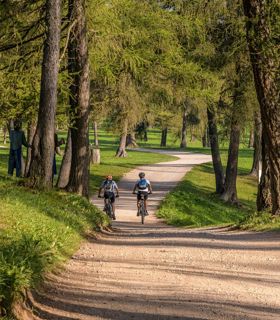 Due persone che fanno un giro in bici nel bosco