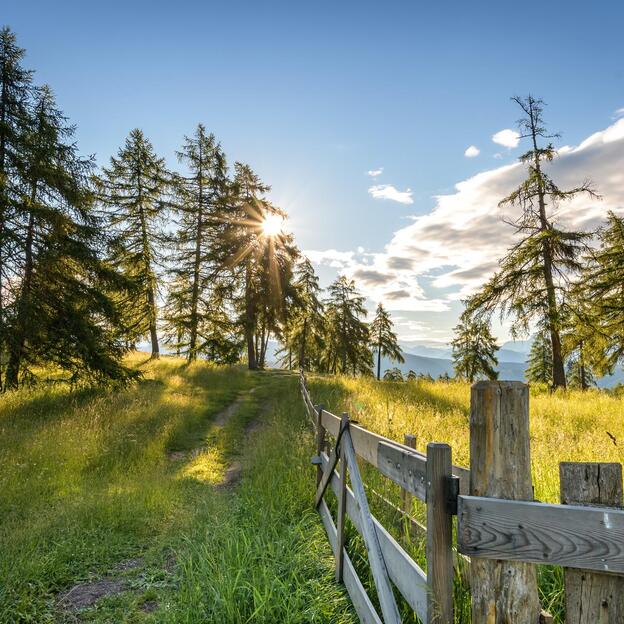 Tramonto su un alpeggio con sentiero nel bosco, recinto in legno e larici illuminati dal sole.