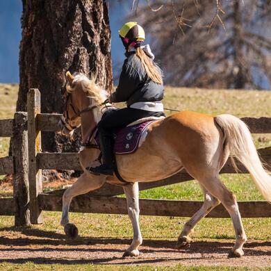 Un bambino cavalca su un cavallo Haflinger