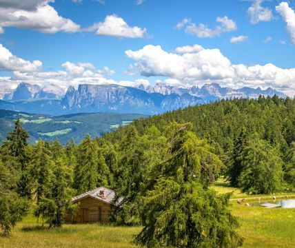 L'altopiano del Salto e le montagne in estate