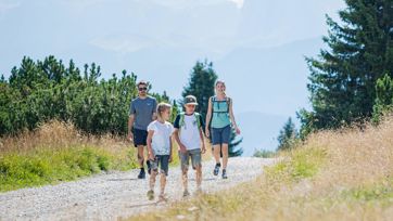 Una famiglia in escursione su un sentiero soleggiato con vista sulle montagne sullo sfondo.