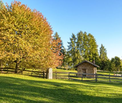 salten-herbst-1-tv-jenesien-michael-guggenberg