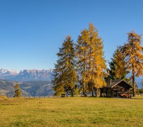 salten-herbst-5-tv-jenesien-michael-guggenberg
