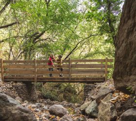 Due bambini in piedi su un ponte di legno sopra un piccolo ruscello ricoperto di foglie autunnali nel bosco.