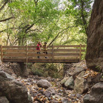 Due bambini in piedi su un ponte di legno sopra un piccolo ruscello ricoperto di foglie autunnali nel bosco.