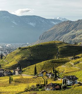 idmsuedtirol-weintiberio-sorvillo