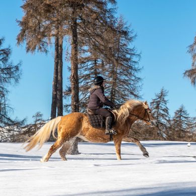 reiten-salten-winter-4-tv-jenesien-michael-guggenberg