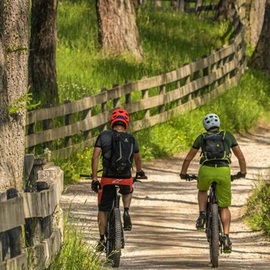 Due persone che fanno un giro in bici nel bosco