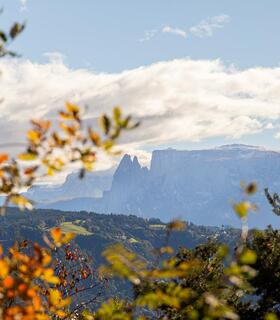 2025-jenesien-herbst-tv-jenesien-the-travely-8