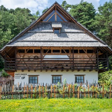 Il museo dei cavalli Avelignesi