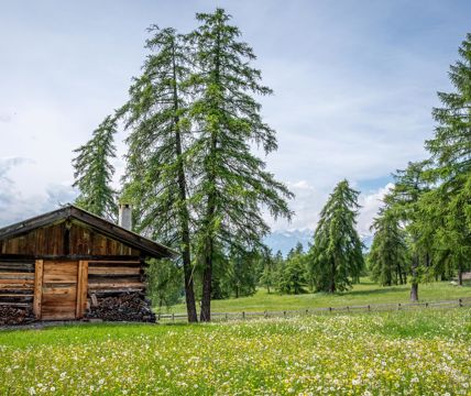 Baita in legno su un prato alpino fiorito, circondata da larici e montagne sullo sfondo.