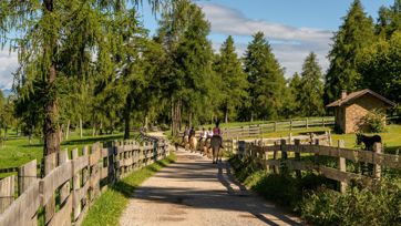 Un gruppo di persone a cavallo
