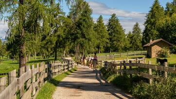 Un gruppo di persone a cavallo