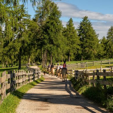 Un gruppo di persone a cavallo