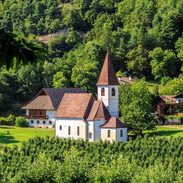 La chiesa di Cologna