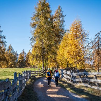 Due persone fanno un'escursione in autunno